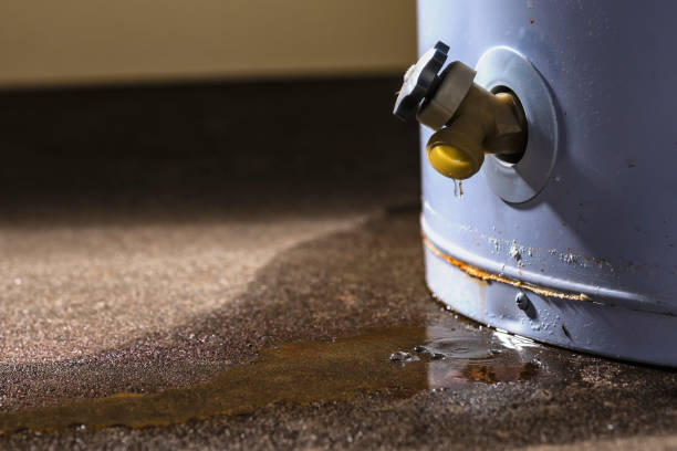 Best 24/7 water damage repair  in Mammoth, AZ