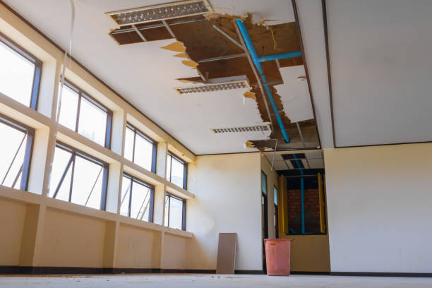  Mammoth, AZ Water damage restoration Pros