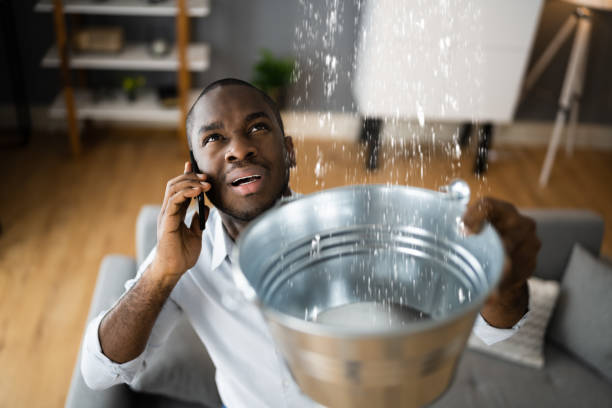 Trusted Mammoth, AZ Water damage restoration Experts