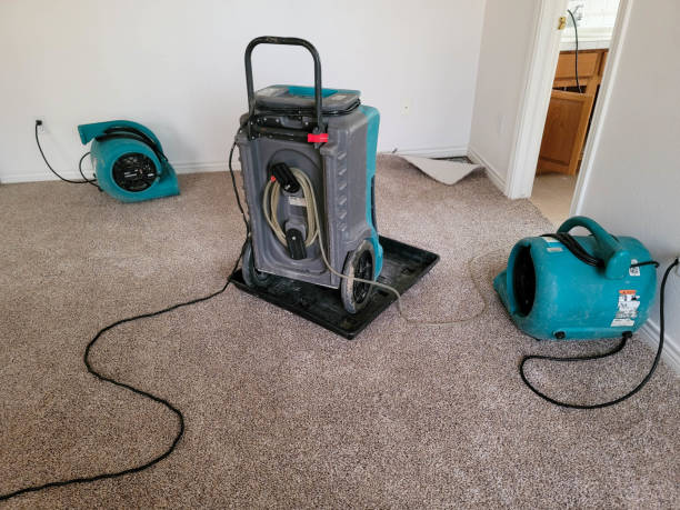 Best 24/7 water damage repair  in Mammoth, AZ