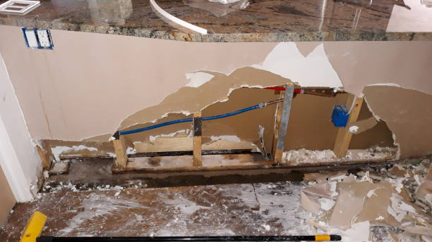 Best Flood restoration services  in Mammoth, AZ