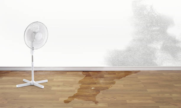 Best Flooded house restoration  in Mammoth, AZ