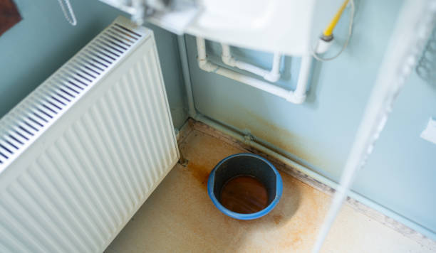 Best Sewage cleanup and water damage restoration  in Mammoth, AZ