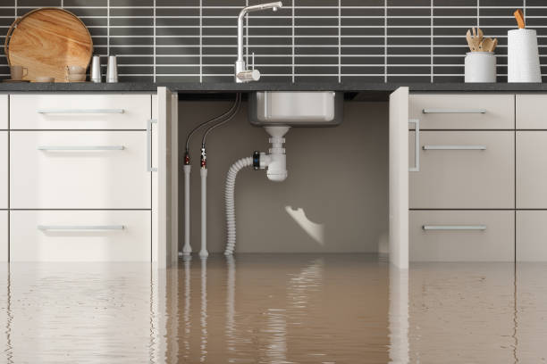 Best Commercial water damage restoration  in Mammoth, AZ