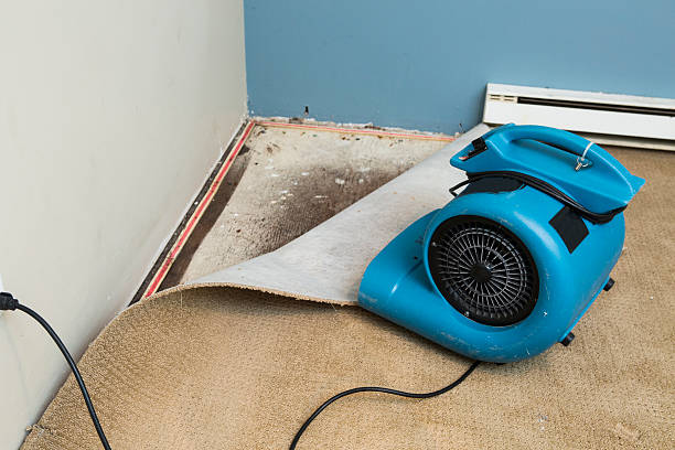 Best 24/7 water damage repair  in Mammoth, AZ